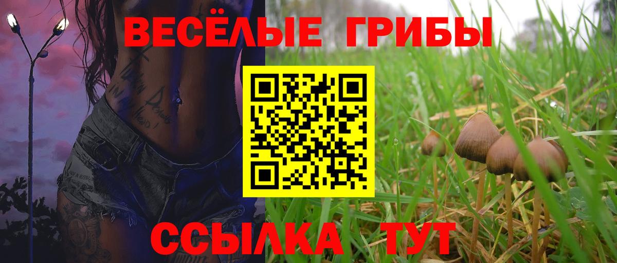 Псилоцибиновые грибы Cubensis  Вход с VPN  Губкинский  Псилоцибиновые грибы прущие грибы 