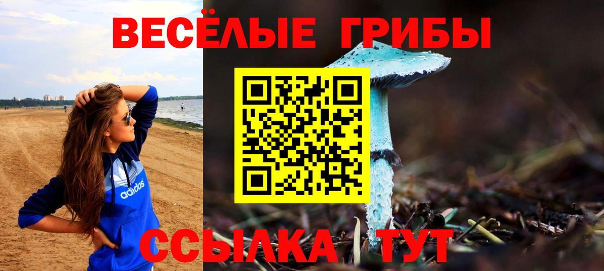 Галлюциногенные грибы мицелий Губкинский